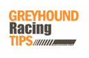 Greyhound Racing Tips返现比较与奖励比较